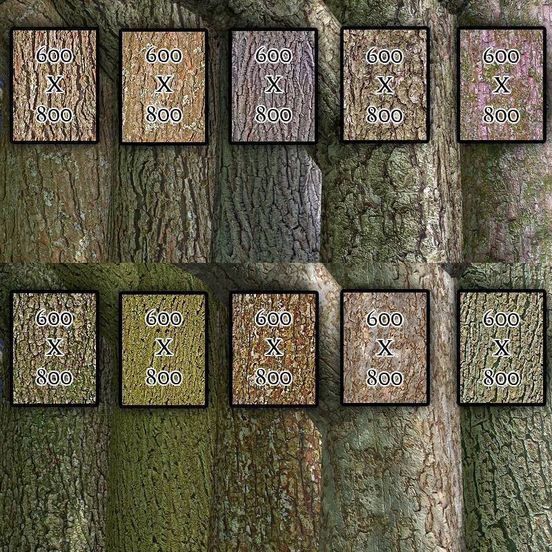 Flinks Bark-Textures Vol1+2