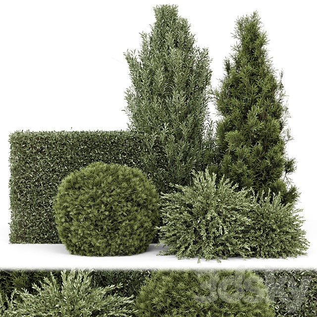 Outdoor Plants Bush -Bush Set 1895