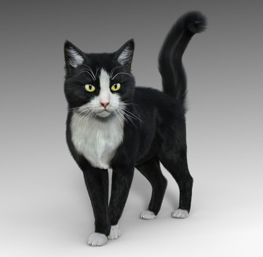 Tuxedo Cat for Mars