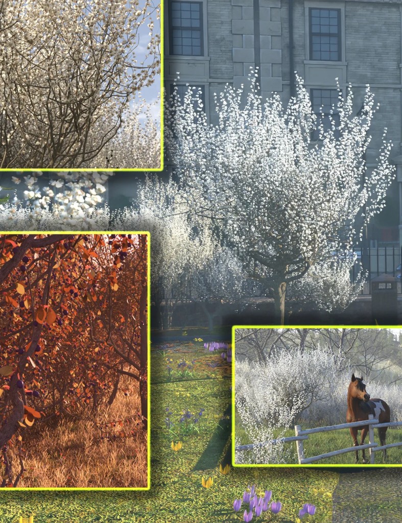 Hedgerow Kit 4 – Blackthorn Flowers and Fruits