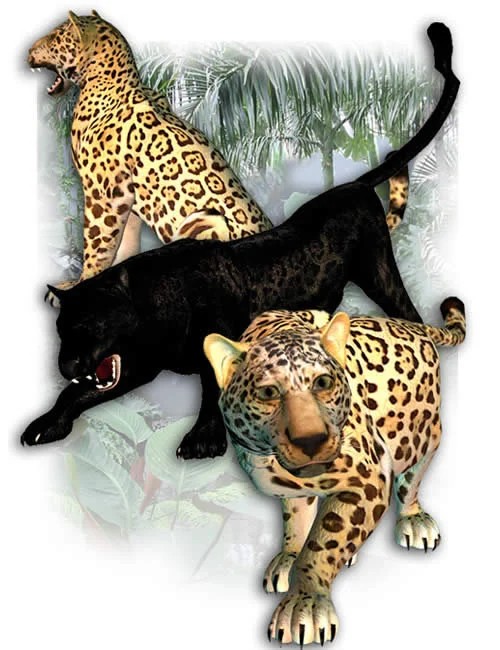 Panthers