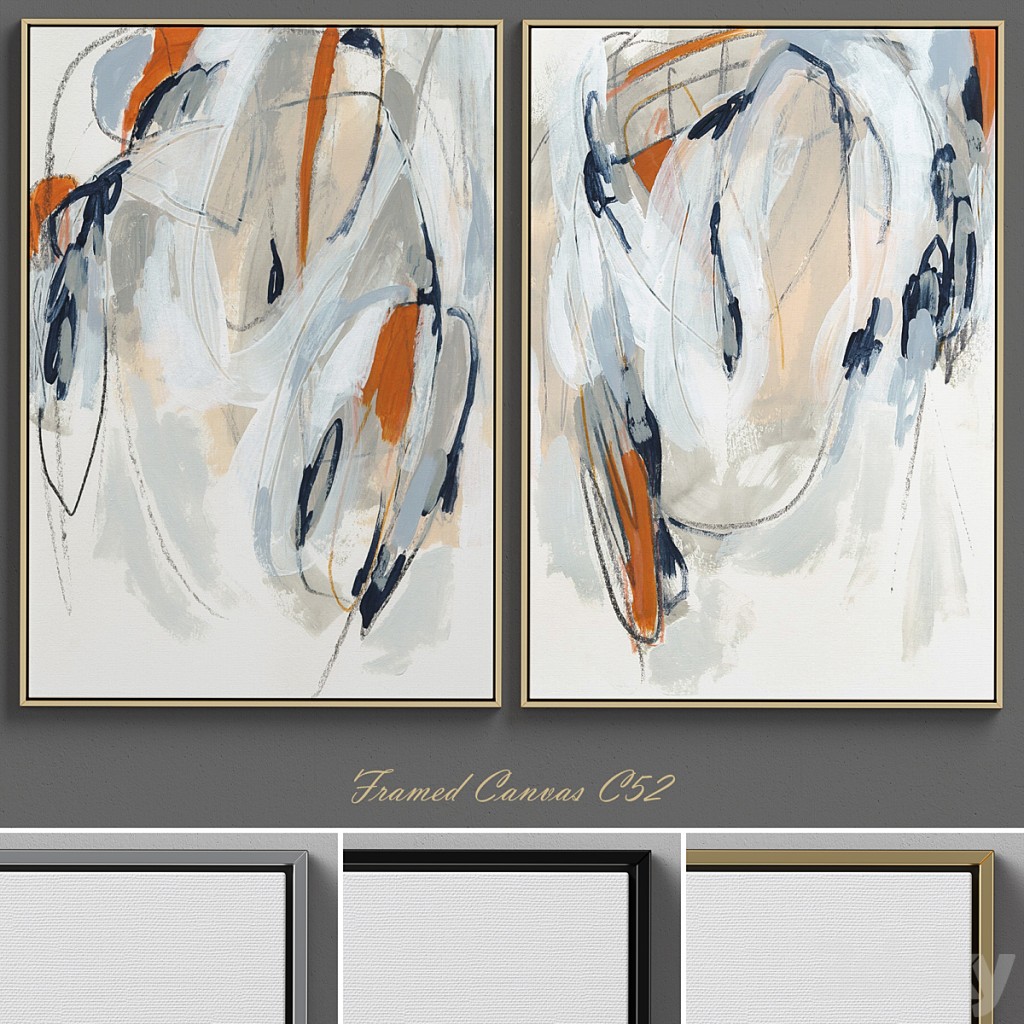 Framed Canvas C-52
