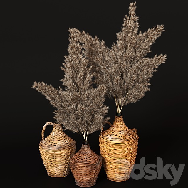 Pampas grass in wicker bottles