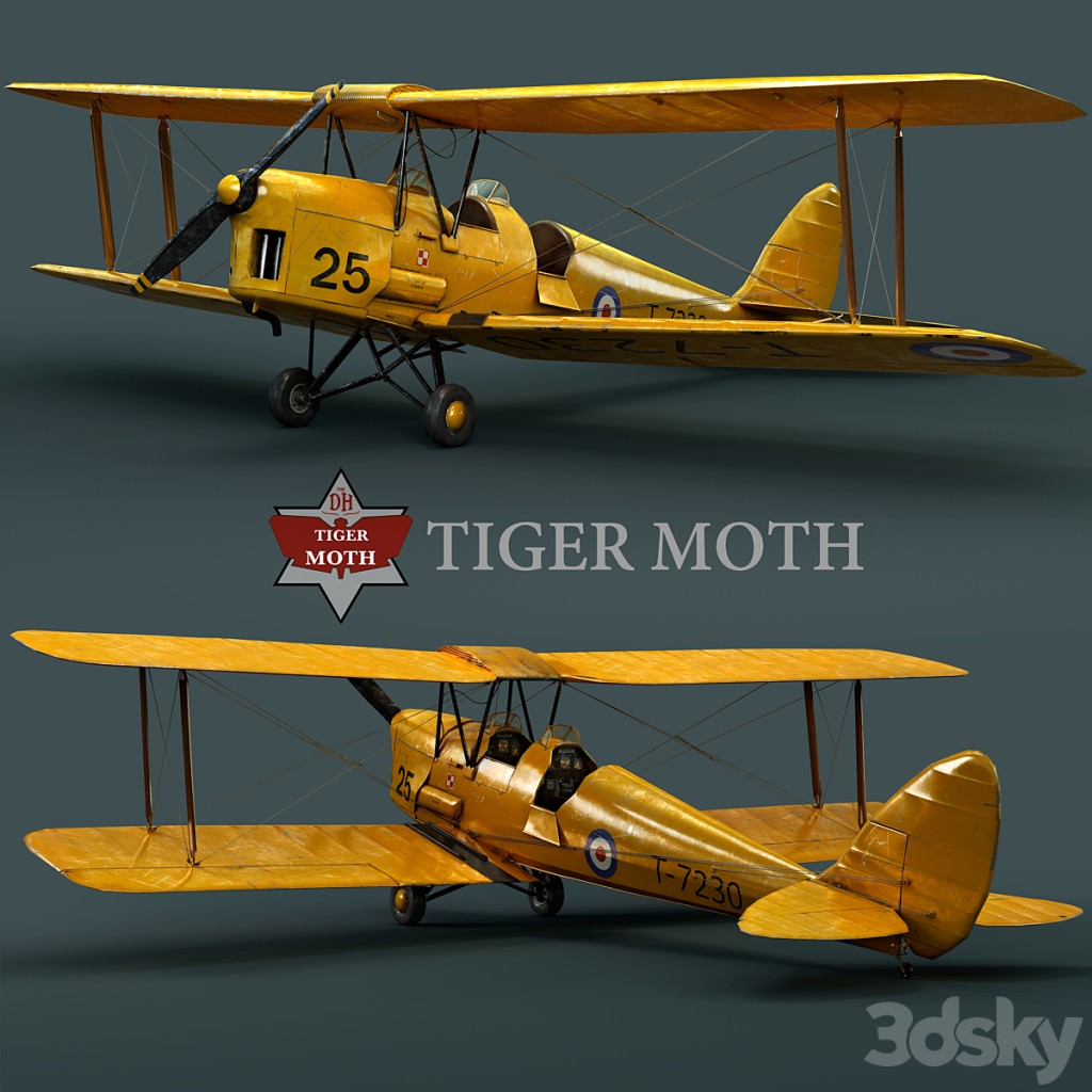 Tiger moth