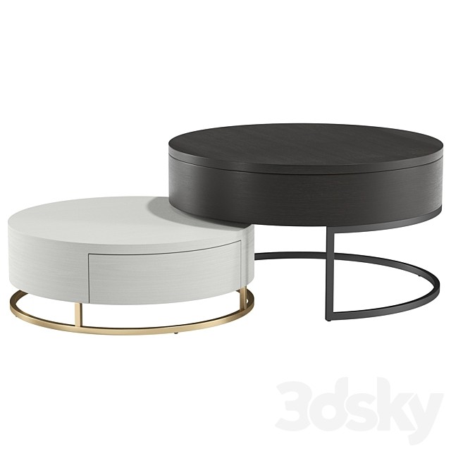 Nesnesis Modern Coffee Table with Drawers