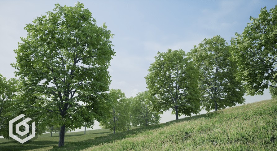 [UE] Trees: Maple Tree
