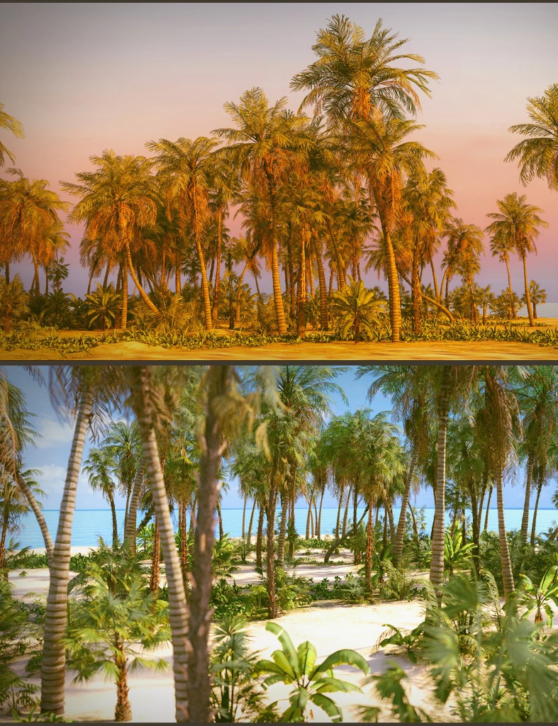 Tropical Beach DS