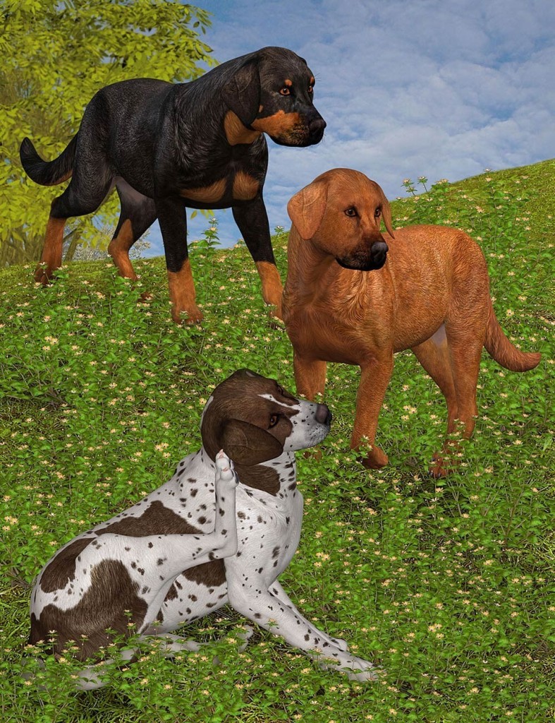 Coat Colors for the HiveWire Big Dog Set 2