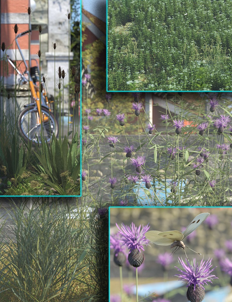 Wild FLowers Vol-2 Bundle