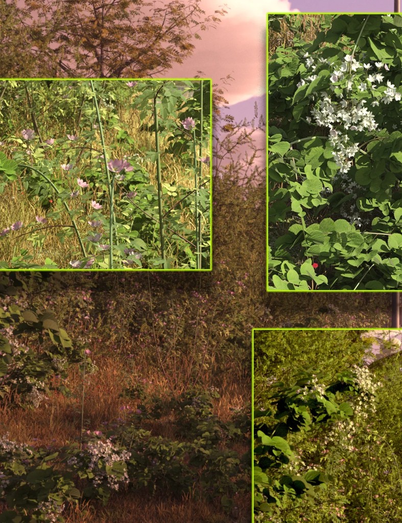 Hedgerow Kit - Expansion Roses and Brambles