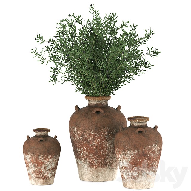 Indoor Plant 003