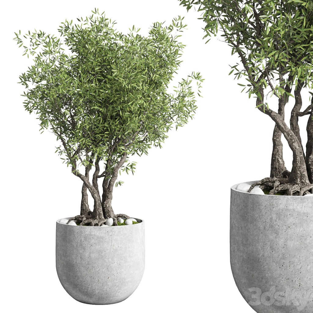 Outdoor plant 28 concrete vase
