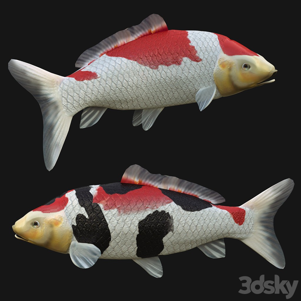crap koi fish (rigged)