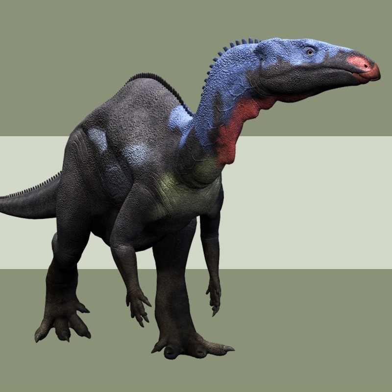 CamptosaurusDR