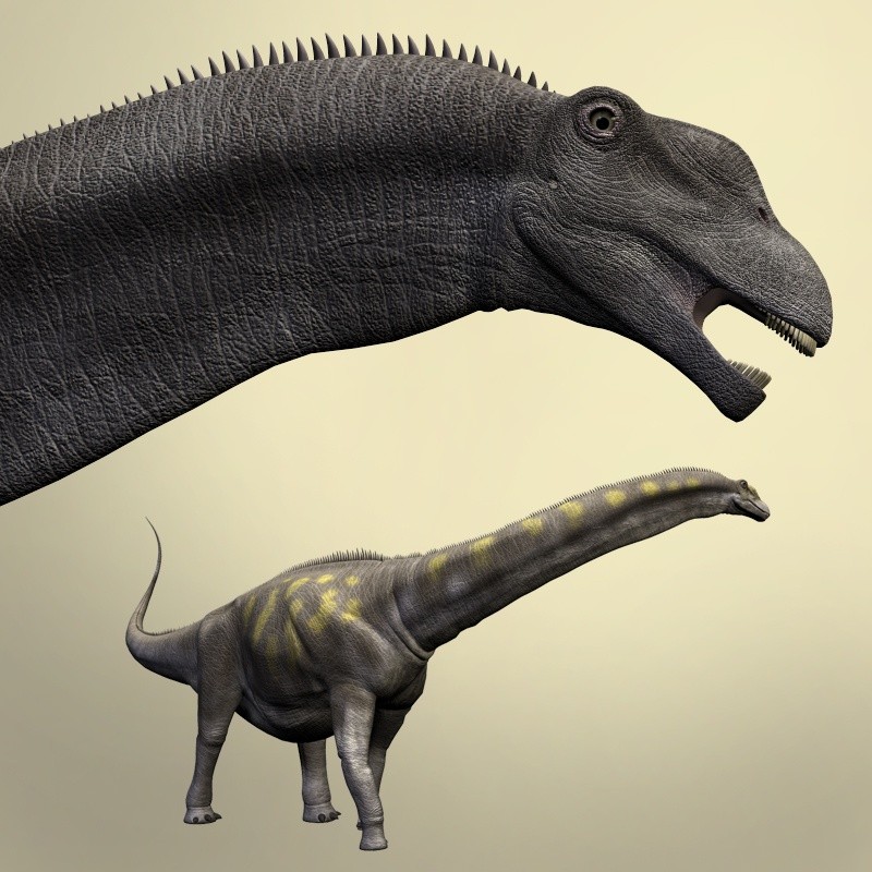 ArgentinosaurusDR
