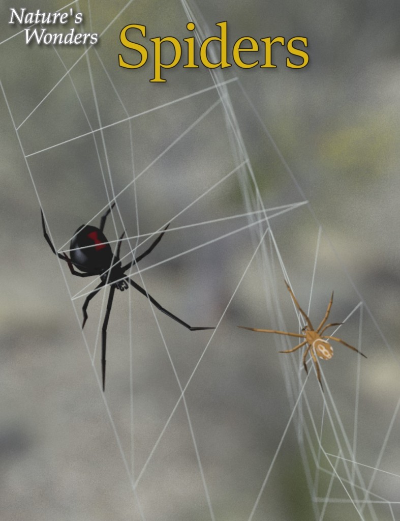 Nature's Wonders Spiders