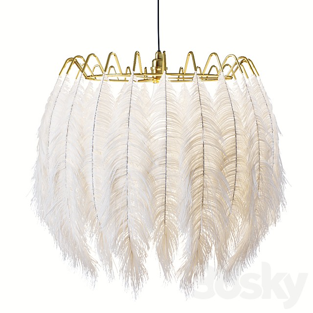 Plumage 53