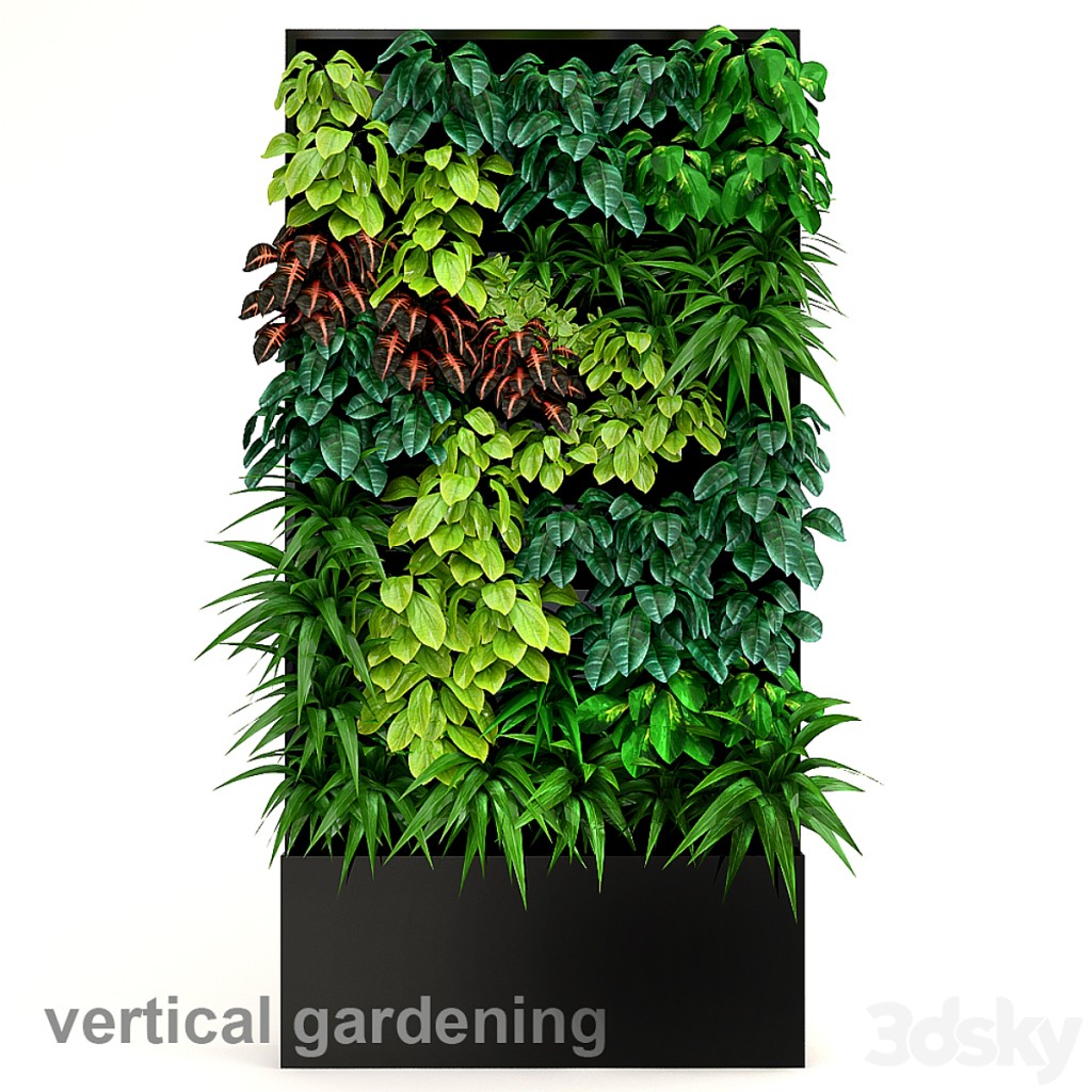 Vertical gardening 2