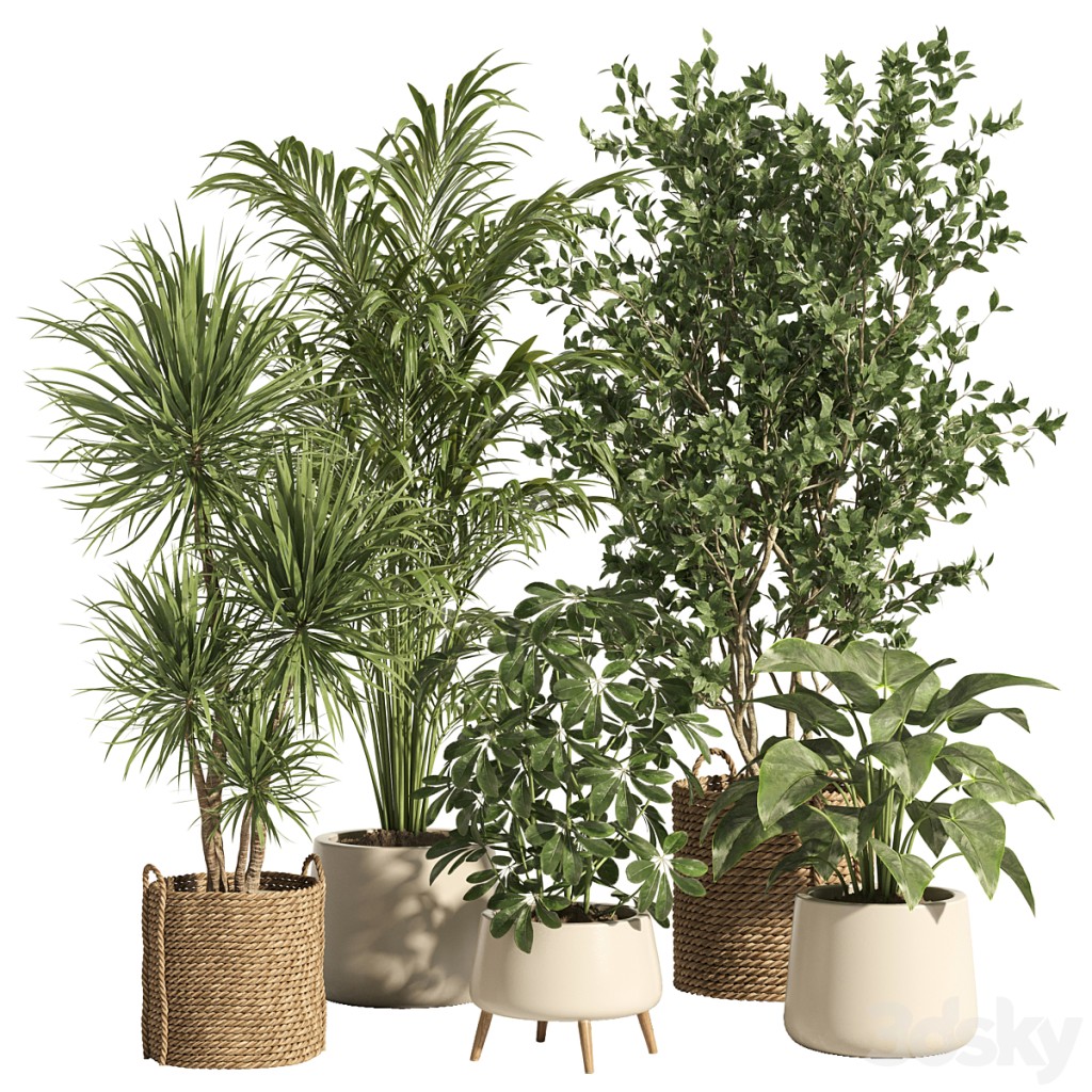 indoor plant set 68- rattan and ceramic