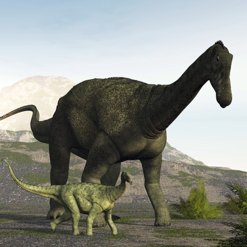 SaltasaurusDR