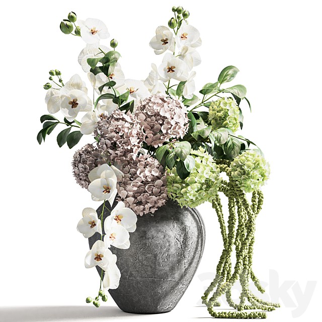 Plants Bouquet