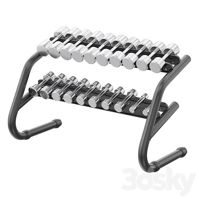 Technogym Chrome Dumbbells