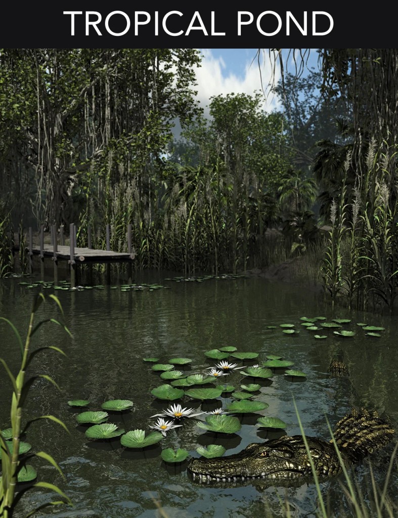 Tropical Pond*