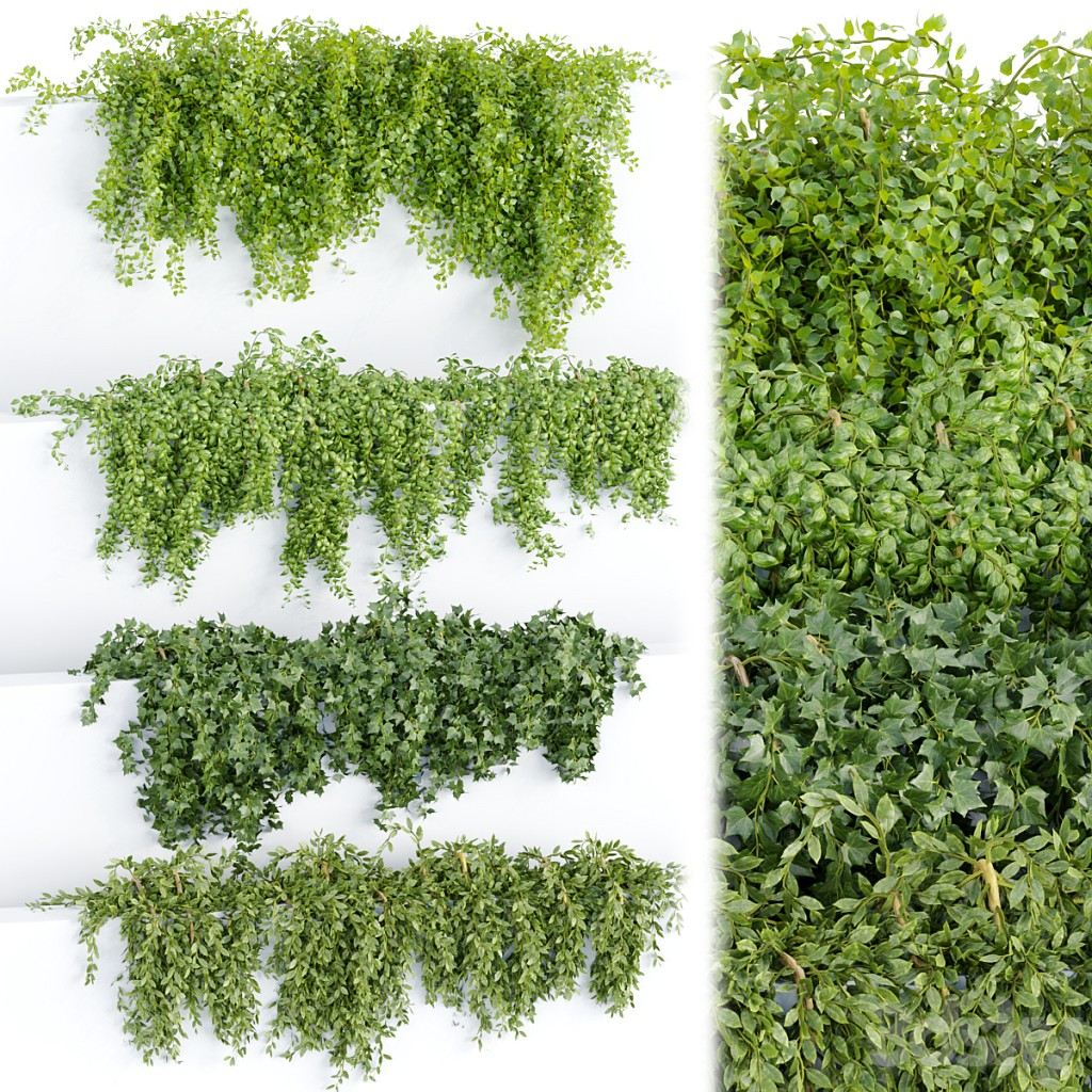 Hanging wall plants collection vol 64