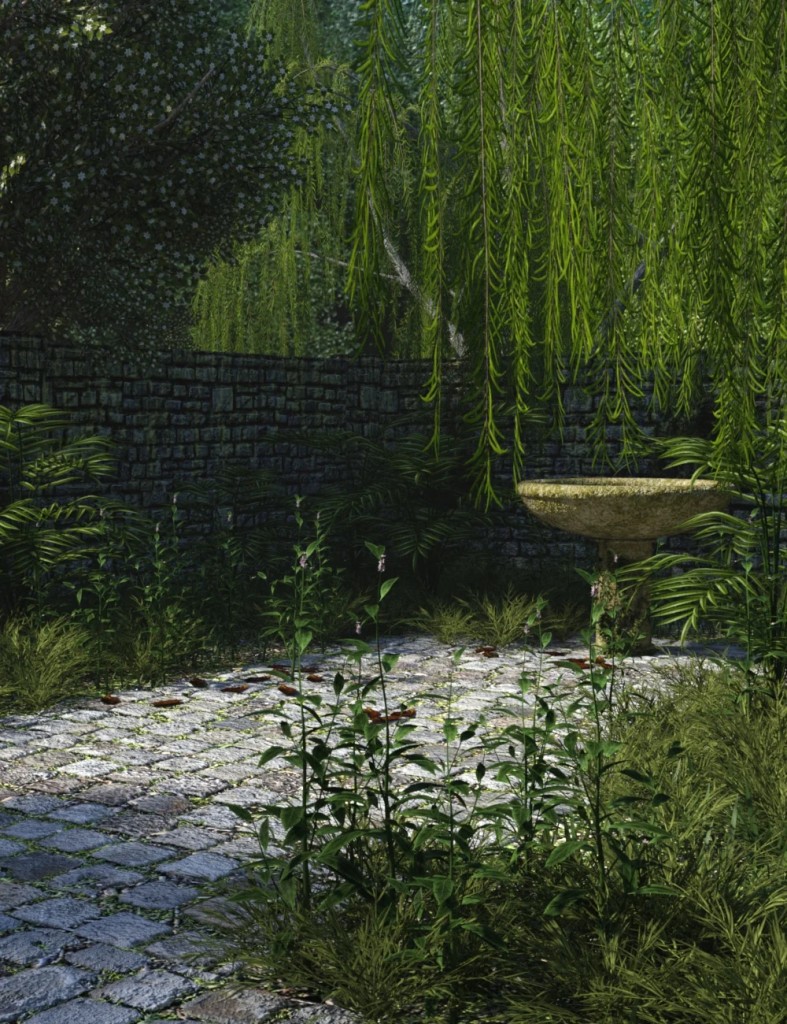 The Abandoned Garden