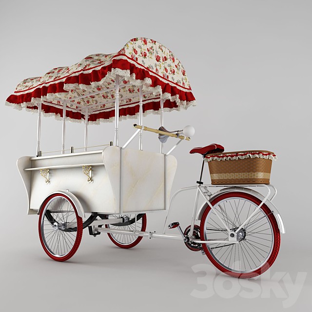 Pedicabs VELOPOINT PARIS