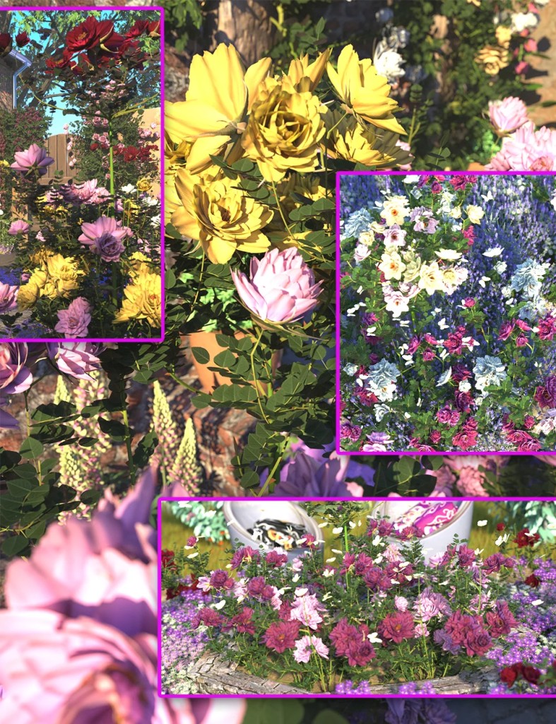 Rose Garden – Rose Bushes