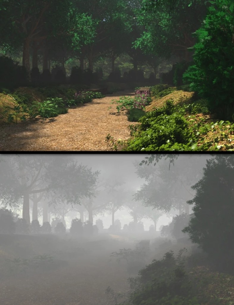 My Walking Place