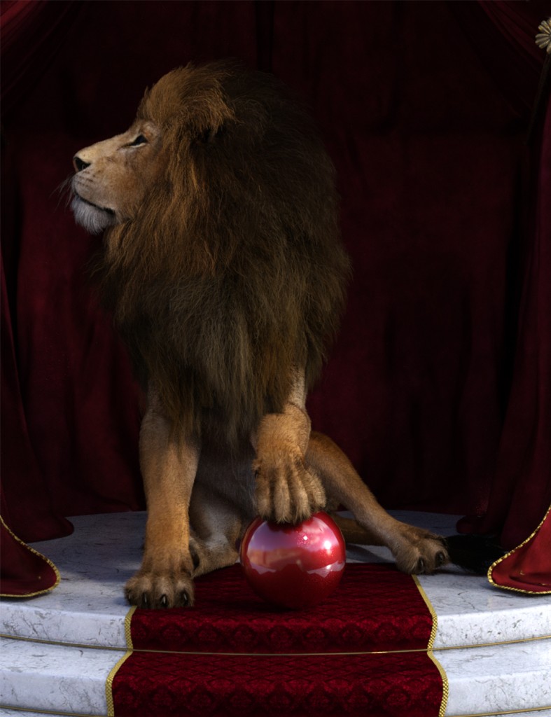 Wild Poses For Felidae Lion