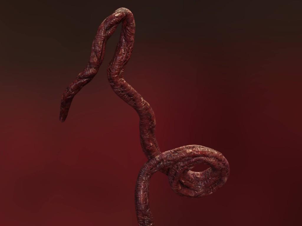 Tentacle Creature