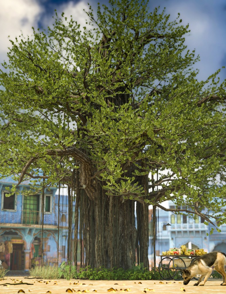 Banyan Trees - High Resolution Plants for Daz Studio