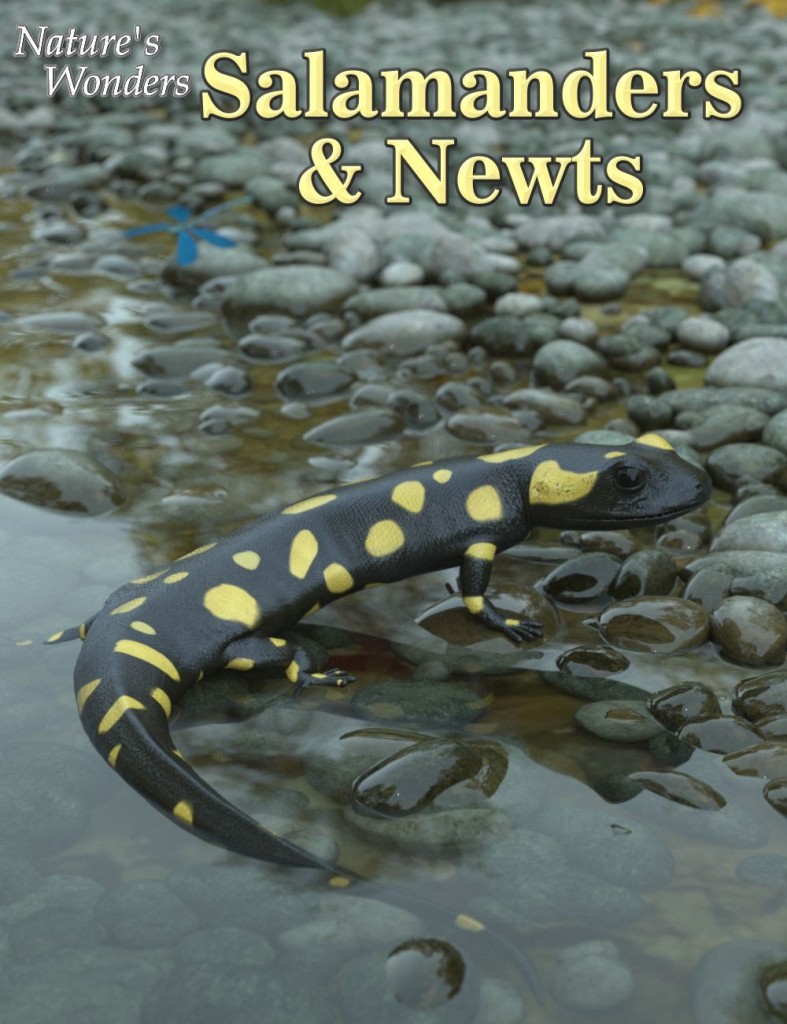 Nature's Wonders Salamanders & Newts