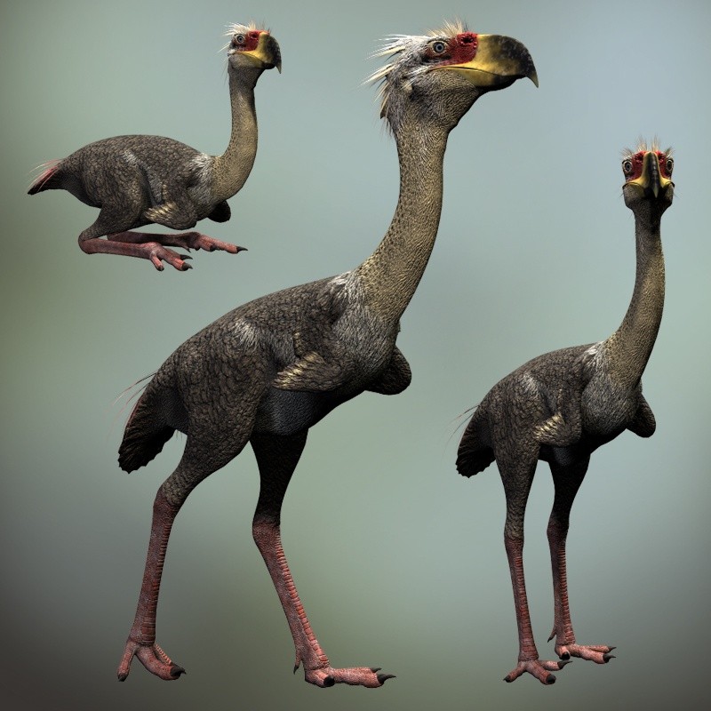 Phorusrhacos