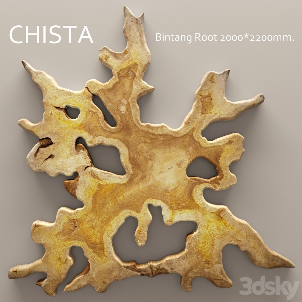 CHISTA. Bintang Root, snag, saw cut, timber, wooden decor