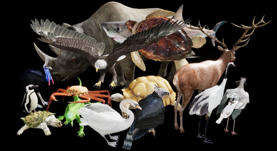 Complete Animals Pack Unreal Engine