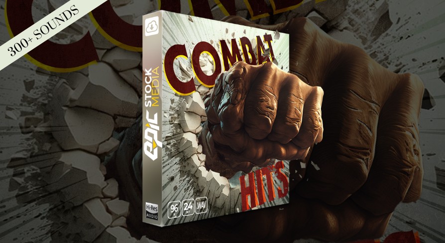 Combat Hits UE5.5