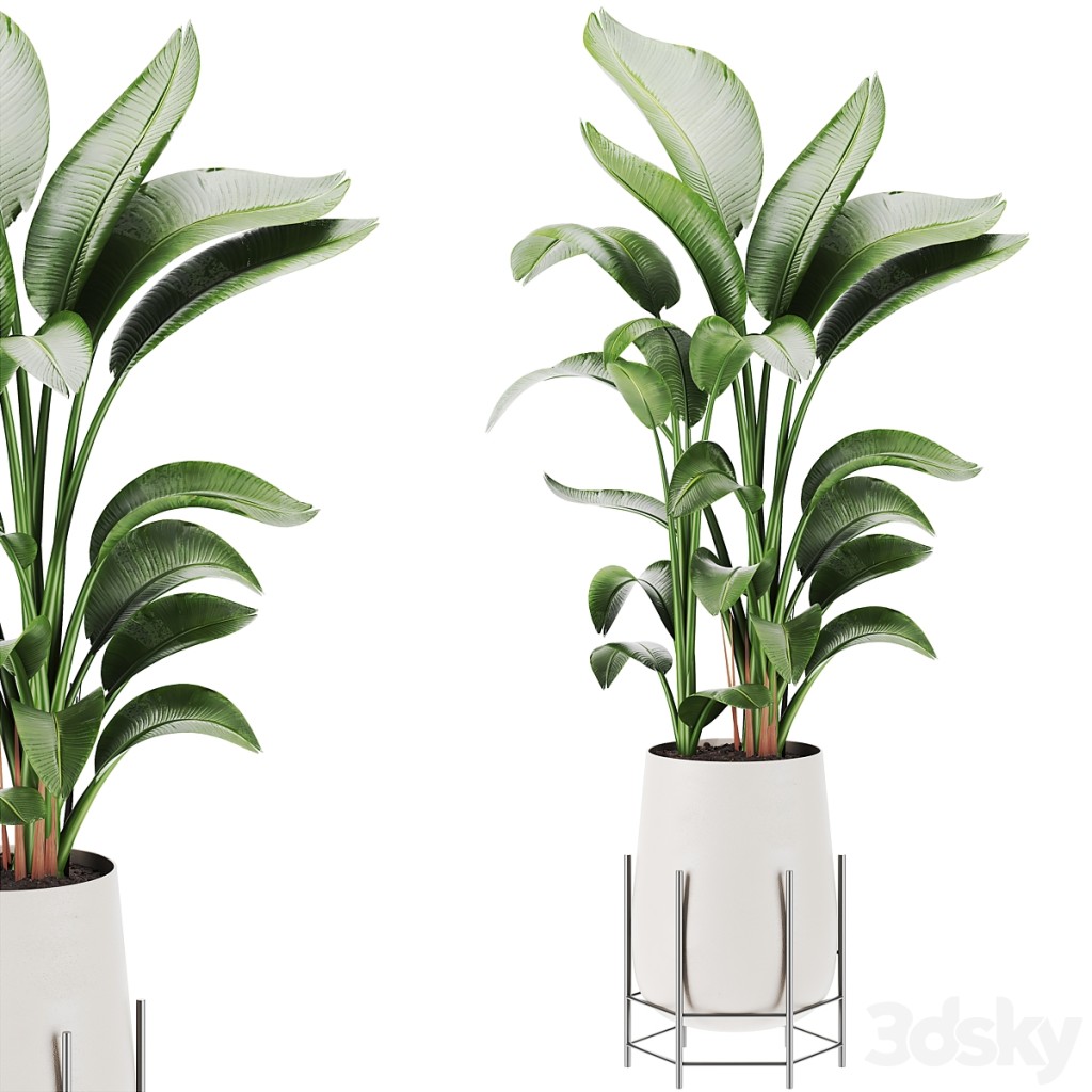 Plants set 82