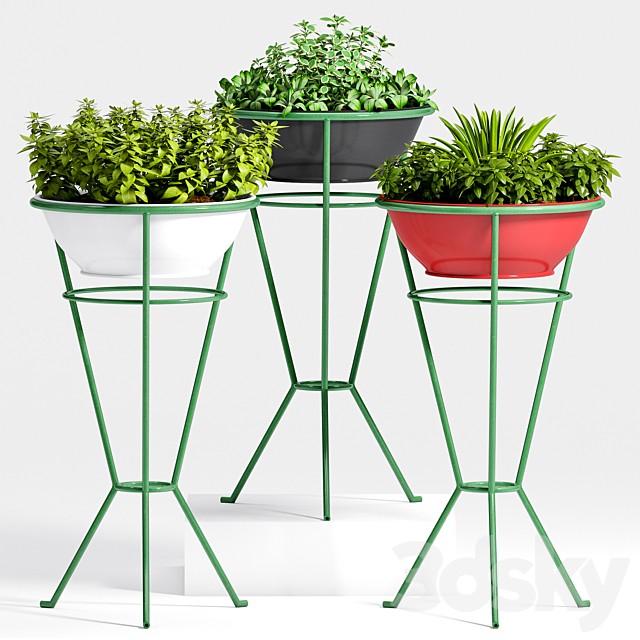 PLANT -27