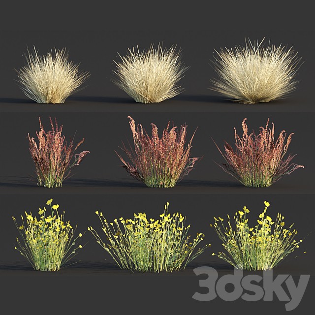 Low poly wild grass collection vol 246