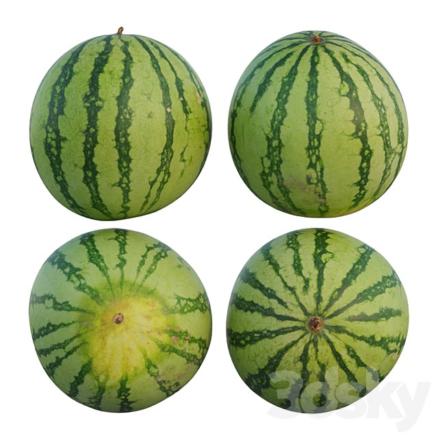 watermelon 03