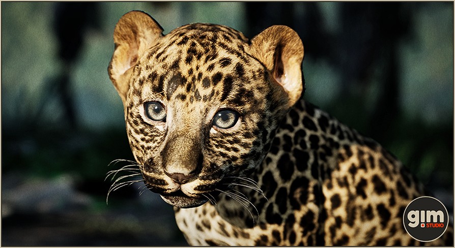 [UE] Animalia - Leopard (young)