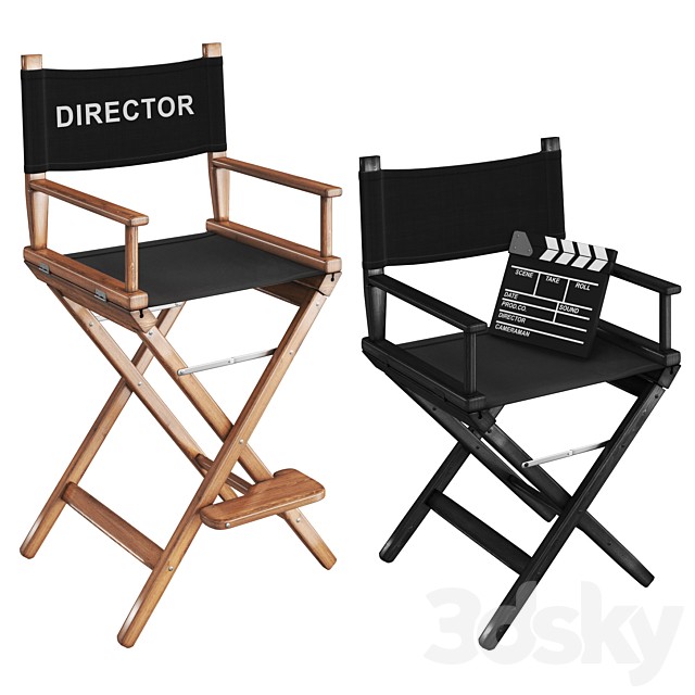 Director chair