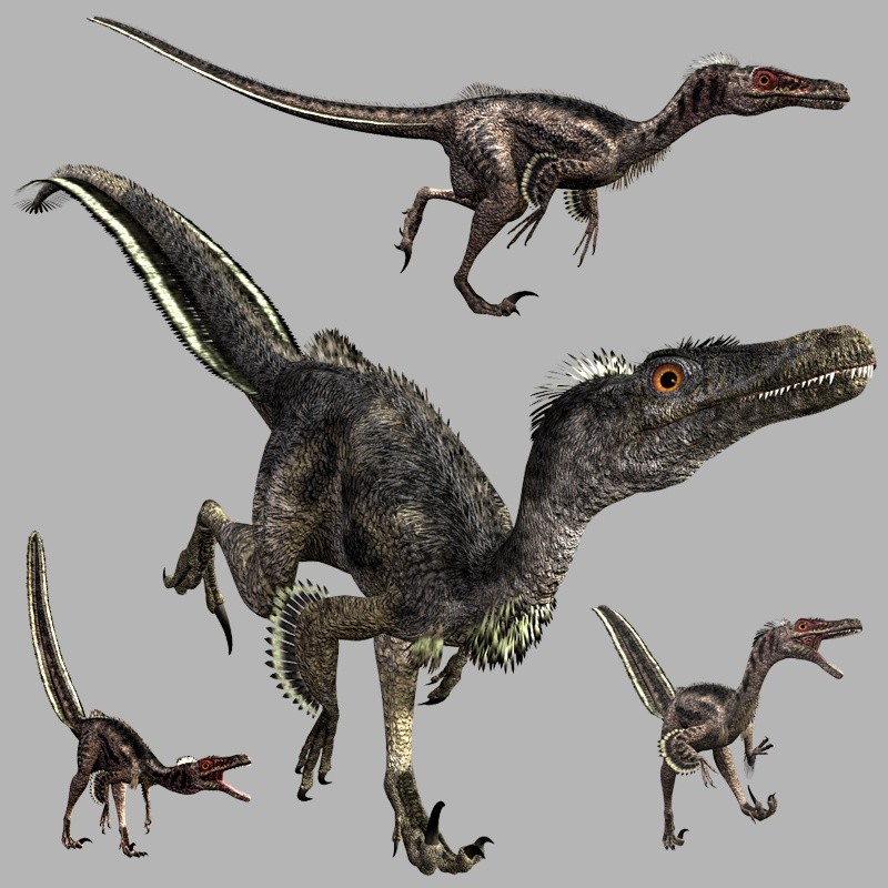 VelociraptorDR