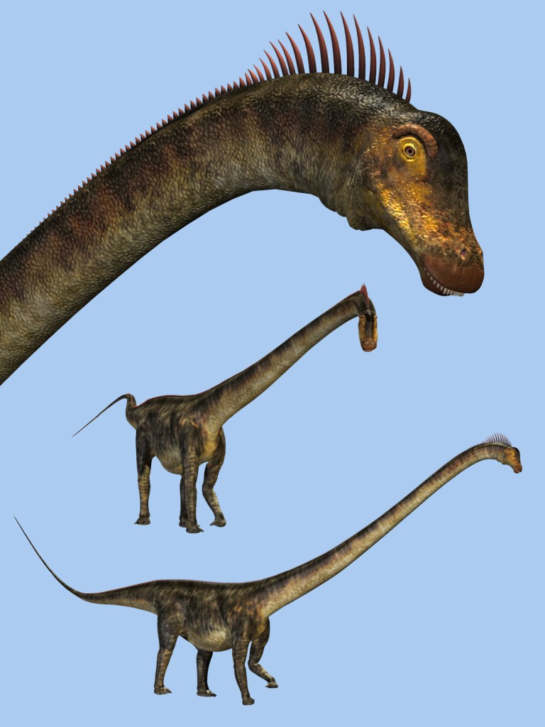 BarosaurusDR