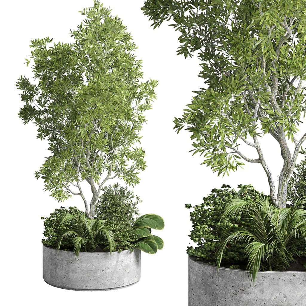 collection outdoor plant 27 garden pot concrete vase