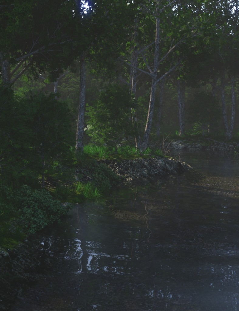 Forest Creek